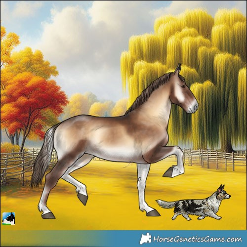 Horse Color:Liver Red Onyx