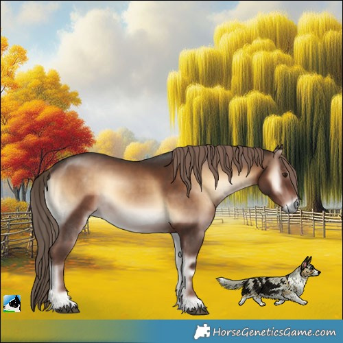 Horse Color:Liver Red Onyx