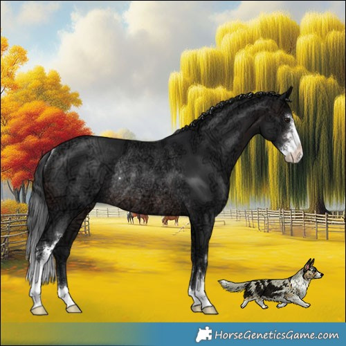 Horse Color:Brown Ice Sabino Rabicano 