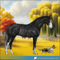 Horse Color:Brown Ice Sabino Rabicano