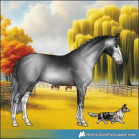 Horse Color:Gray Brown Mushroom Sabino