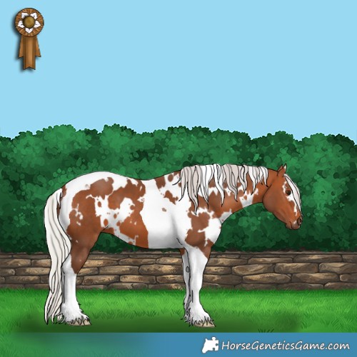 Horse Color:White Spotted Silver Brown Tobiano 