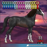 Horse Color:Brown 