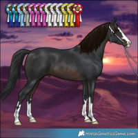 Horse Color:Brown 