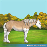 Horse Color:Chocolate Palomino Dun Splash 