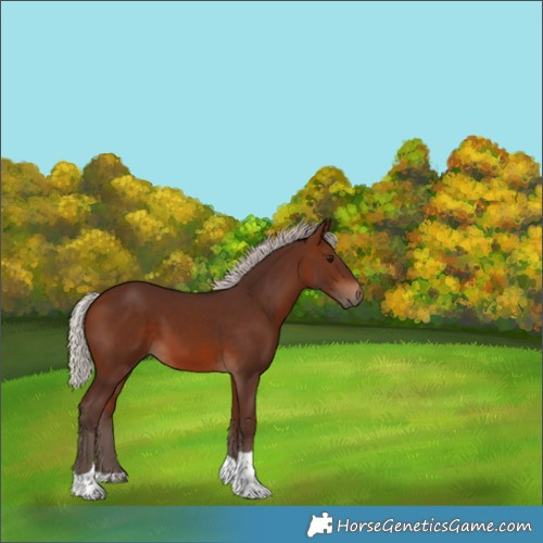 Horse Color:Silver Brown Tobiano 