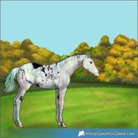 Horse Color:ERROR: UNKNOWN ANOMALY