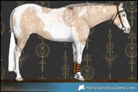 Horse Color:Silver Amber Champagne Dun Splash Tobiano Rabicano and Silver Bay Dun Splash Tobiano Varnish Rabicano