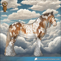 Horse Color:Chocolate Palomino Dun Tobiano Brindle and Gray Chocolate Palomino Tobiano Near Leopard