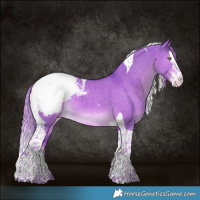 Horse Color:Watercolor Liver Red Dun Splash Tobiano Snowcap 