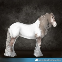 Horse Color:Silver Grullo Onyx Sabino Tobiano Snowcap