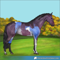 Horse Color:Watercolor Brown Tobiano Varnish  and Brown Dun Tobiano 