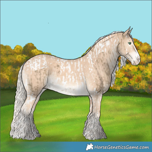 Horse Color:Silver Smoky Grullo Splash Tobiano  and Cremello Splash 