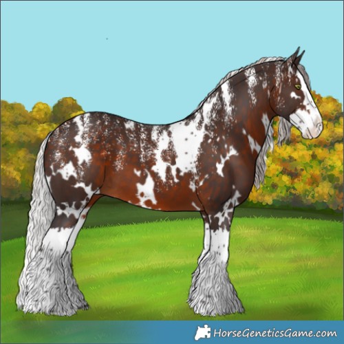 Horse Color:Powder White White Spotted Silver Brown Splash 