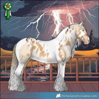 Horse Color:Sable Cream Champagne Roan Dun Tobiano  and Gray White Spotted Chocolate Palomino Dun Tobiano Leopard 