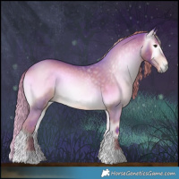 Horse Color:Gray Watercolor Liver Red Onyx Tobiano Appaloosa 