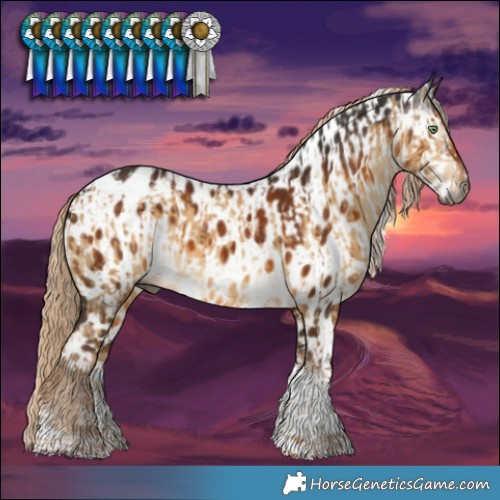 Horse Color:Gray Chocolate Palomino Dun Sabino Tobiano Blanket Brindle  and Gray Chocolate Palomino Sabino Tobiano Near Leopard 