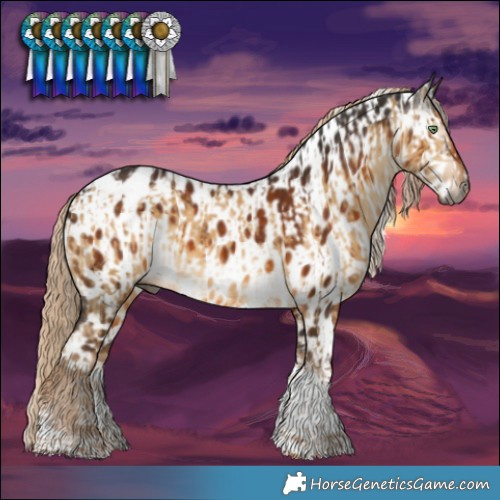 Horse Color:Gray Chocolate Palomino Dun Sabino Tobiano Appaloosa Brindle  and Gray Chocolate Palomino Sabino Tobiano Appaloosa 