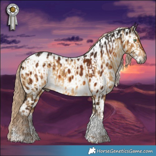 Horse Color:Gray Chocolate Palomino Dun Sabino Tobiano Appaloosa Brindle  and Gray Chocolate Palomino Sabino Tobiano Appaloosa 