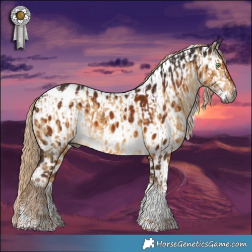 Horse Color:Gray Chocolate Palomino Dun Sabino Tobiano Appaloosa Brindle  and Gray Chocolate Palomino Sabino Tobiano Appaloosa 