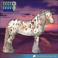 Horse Color:Gray Chocolate Palomino Dun Sabino Tobiano Appaloosa Brindle  and Gray Chocolate Palomino Sabino Tobiano Appaloosa 