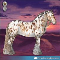 Horse Color:Gray Chocolate Palomino Dun Sabino Tobiano Appaloosa Brindle and Gray Chocolate Palomino Sabino Tobiano Appaloosa