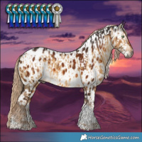 Horse Color:Gray Chocolate Palomino Dun Sabino Tobiano Blanket Brindle  and Gray Chocolate Palomino Sabino Tobiano Near Leopard 