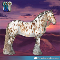 Horse Color:Gray Chocolate Palomino Dun Sabino Tobiano Appaloosa Brindle  and Gray Chocolate Palomino Sabino Tobiano Appaloosa 