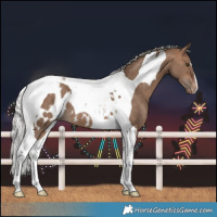 Horse Color:Silver Brown Dun Tobiano Blanket 