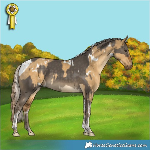 Horse Color:Silver Smoky Black Tobiano Rabicano  and White Spotted Chocolate Palomino Dun Tobiano 
