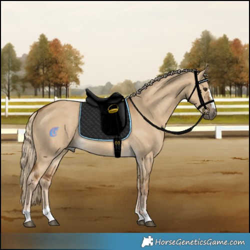 Horse Color:Chocolate Palomino Dun Rabicano 