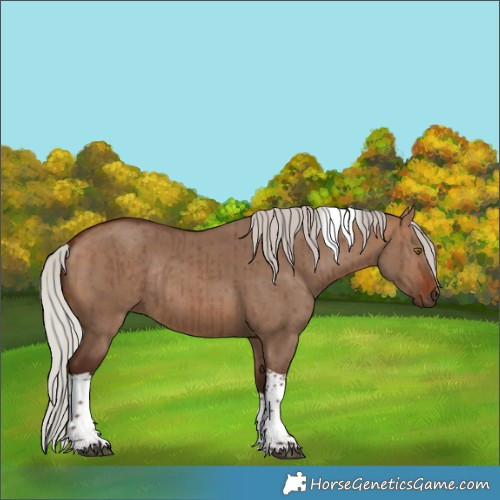 Horse Color:Silver Brown Dun Tobiano Rabicano Brindle 