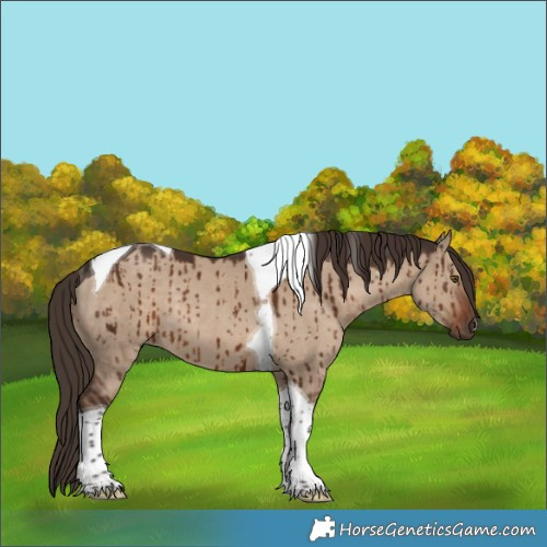 Horse Color:Liver Red Dun Tobiano Rabicano Brindle 