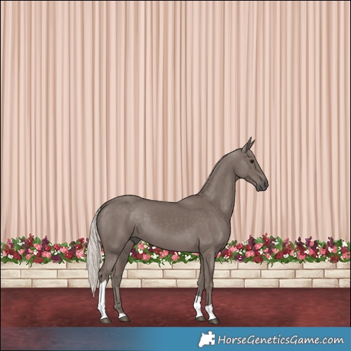 Horse Color:Silver Black Tobiano 