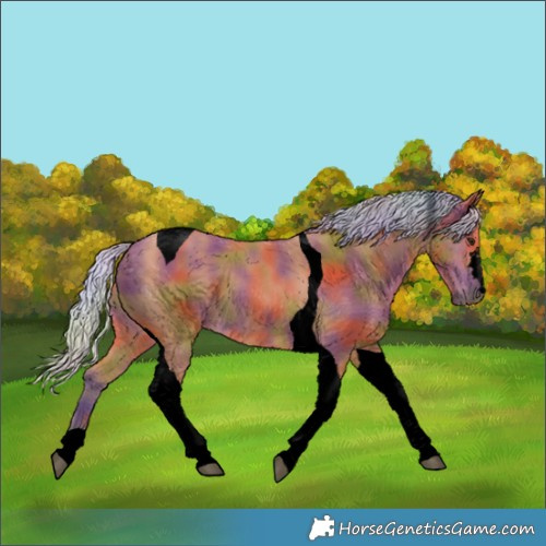 Horse Color:Void Nacre Silver Bay Tobiano 