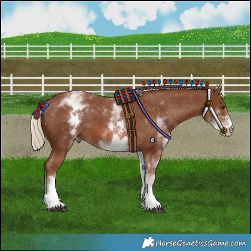 Horse Color:White Spotted Chestnut Varnish 
