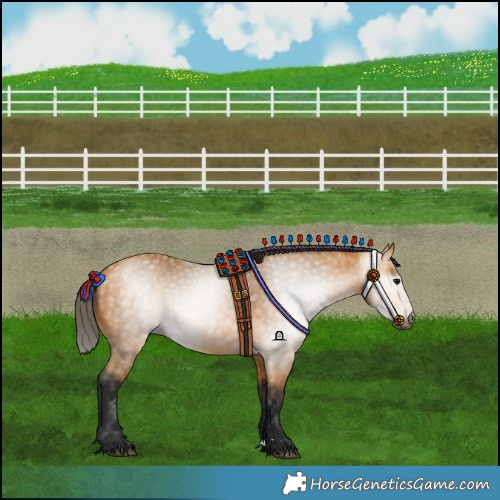 Horse Color:Gray Buckskin 