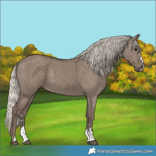 Horse Color:Silver Grullo 