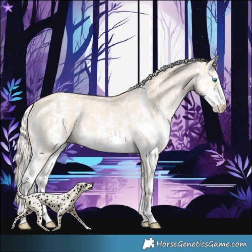 Horse Color:Cremello Sabino  and Cremello Sabino 