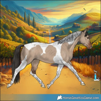 Horse Color:Liver Red Dun Tobiano 