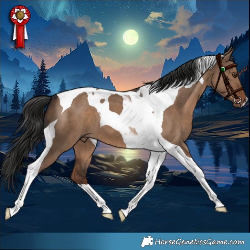 Horse Color:Liver Red Dun Tobiano