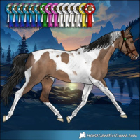 Horse Color:Liver Red Dun Tobiano 