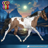 Horse Color:Liver Red Dun Tobiano 