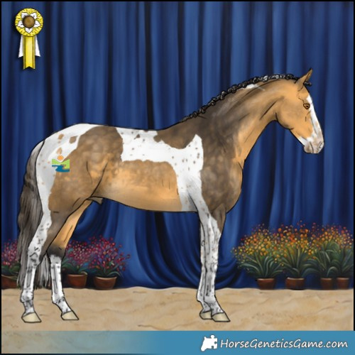 Horse Color:Buckskin Splash Tobiano 