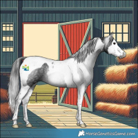 Horse Color:Gray Black Splash Tobiano 