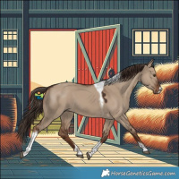 Horse Color:Liver Red Dun Tobiano