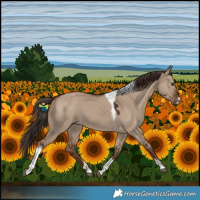 Horse Color:Liver Red Dun Tobiano