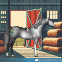 Horse Color:Gray Black Tobiano