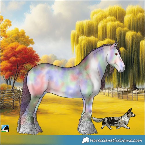 Horse Color:Nacre Chocolate Buckskin Chinchilla Onyx Rabicano 