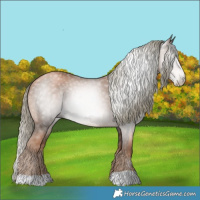 Horse Color:Gray Liver Chestnut Pearl Mushroom